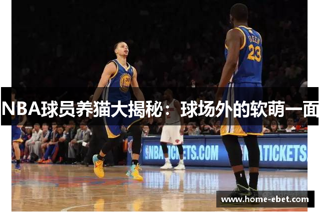 NBA球员养猫大揭秘：球场外的软萌一面