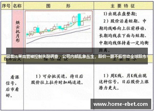 因莫比莱高管被控制失踪调查，公司内部乱象丛生，股价一蹶不振惊动全球股市！